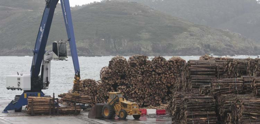 El negocio maderero gana peso dentro de los tráficos portuarios de Ferrol
