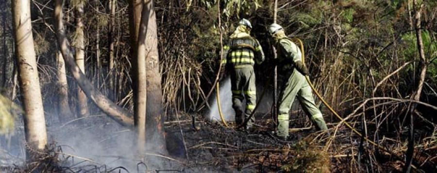 Controlado en una hora un incendio forestal en Covas