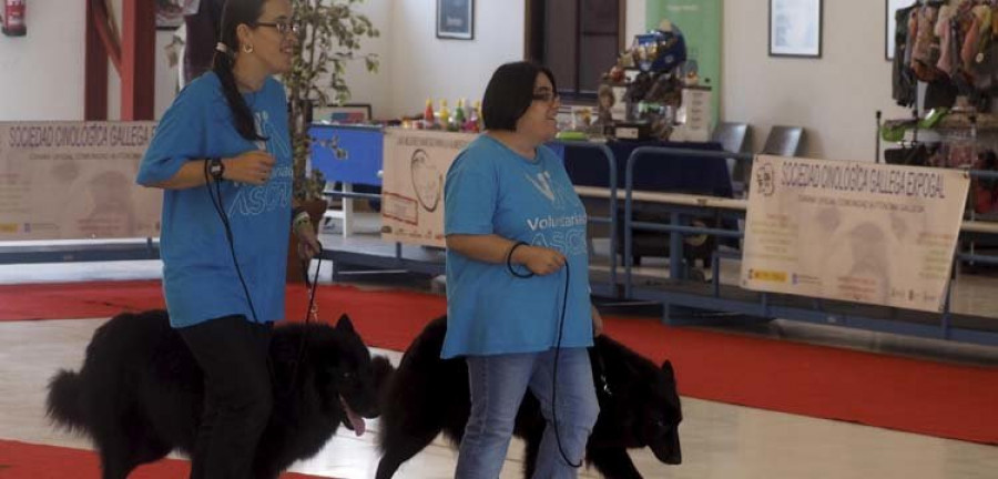 FIMO celebra la tercera edición del “Dog Show” con exhibiciones y concursos