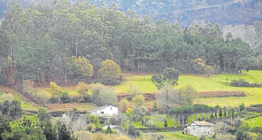 El Banco de Terras rescata del abandono 140 hectáreas de terreno en la comarca
