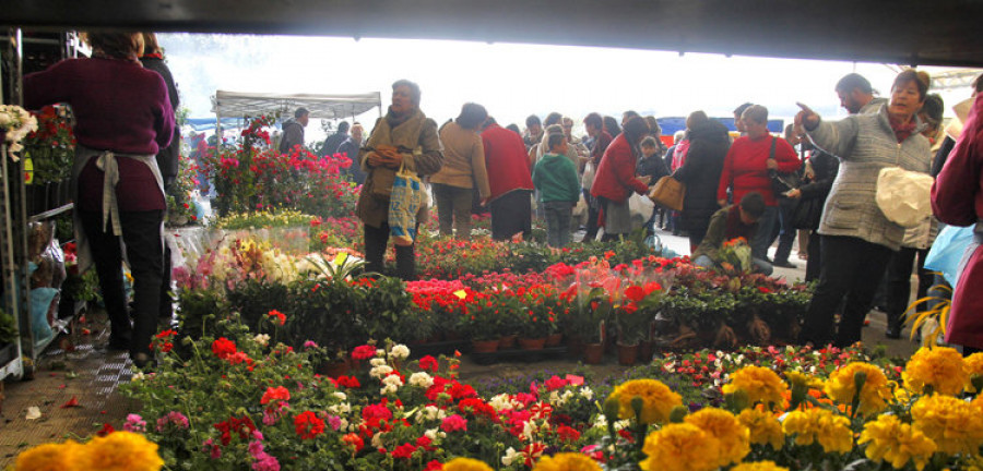 Cerca de medio centenar de puestos inscritos en la Feira da Plantación