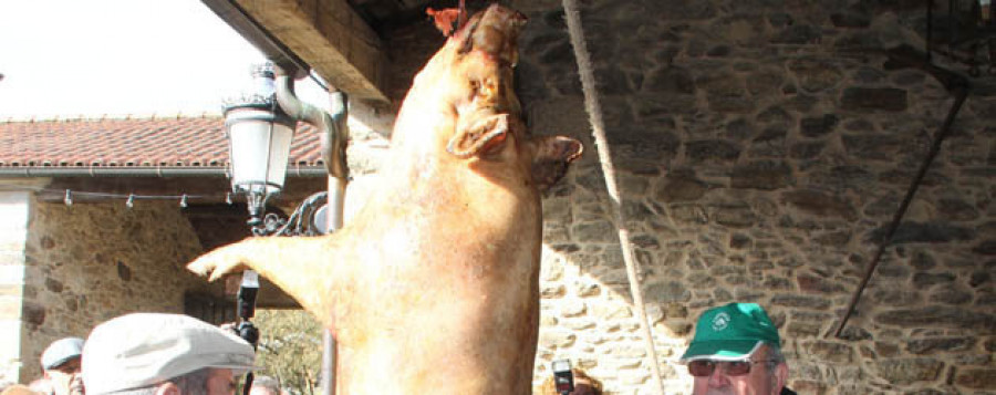 Unos mil visitantes acudieron a la matanza del cerdo en la parroquia lalinense de Bendoiro