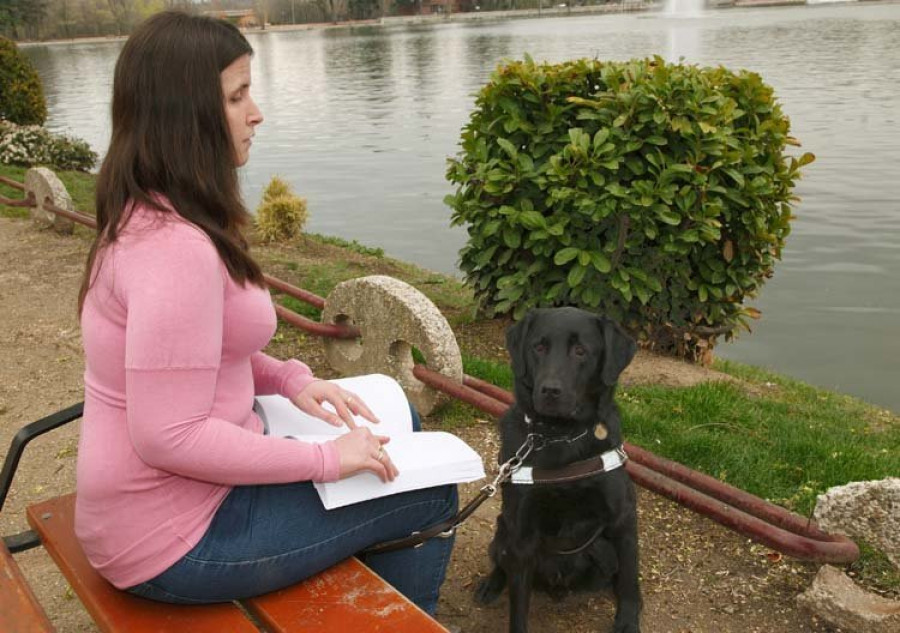 El perro prefiere la felicitación de su dueño antes que la comida