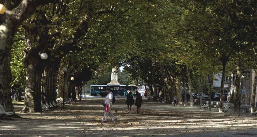 La masa arbórea de la ciudad de 
Ferrol está “oficialmente” desprotegida