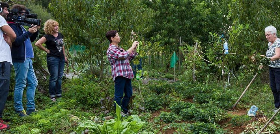 El proyecto “Teño unha horta en San Sadurniño” se divulga a nivel gallego