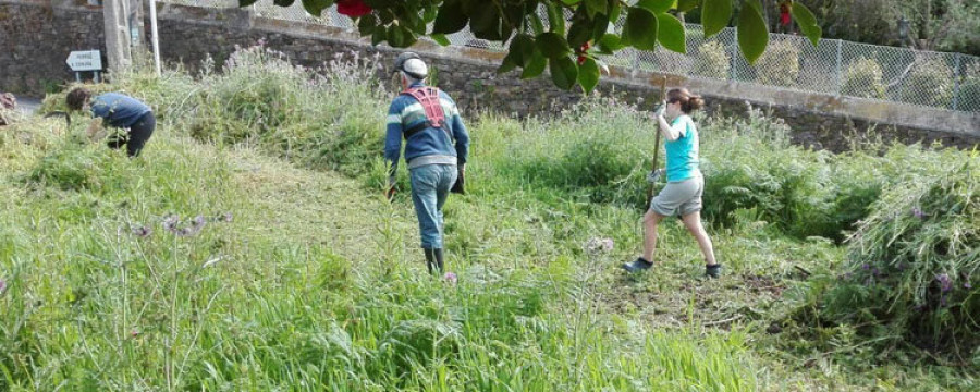 Betula y la Agrupación Instrutiva de Caamouco organizan un taller divulgativo sobre la huerta