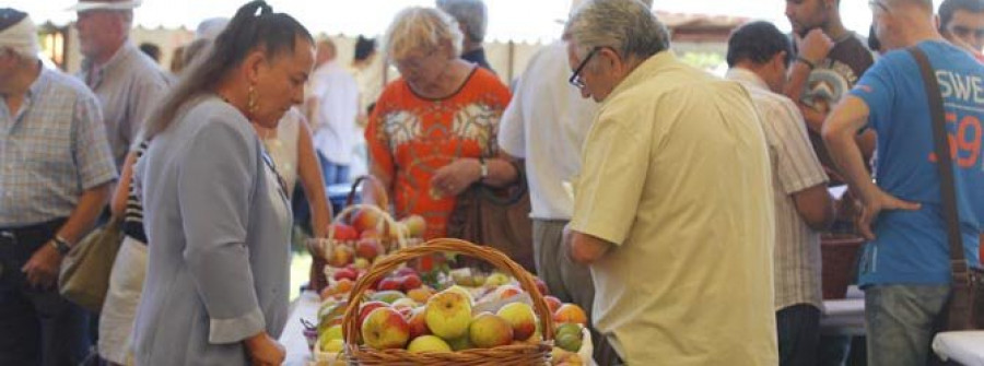 A feira rural de San Sadurniño logra poñer en valor a produción hortícola da vila