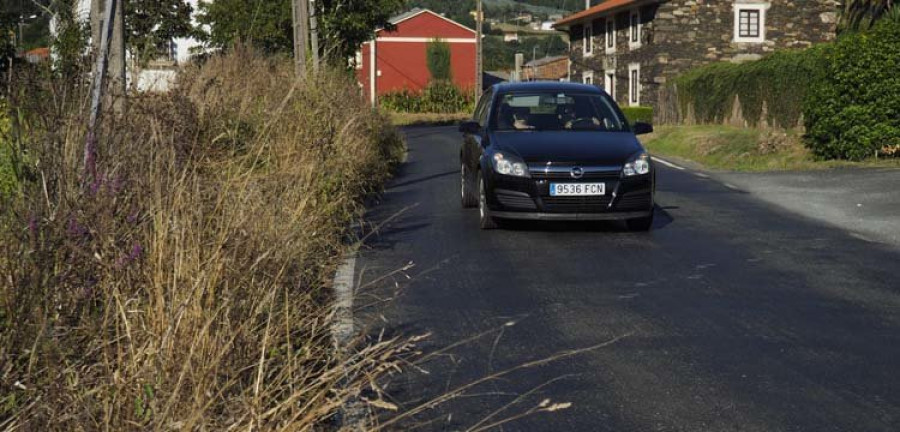 Vecinos de Sedes afean a la Diputación la falta de limpieza de la carretera DP-5406