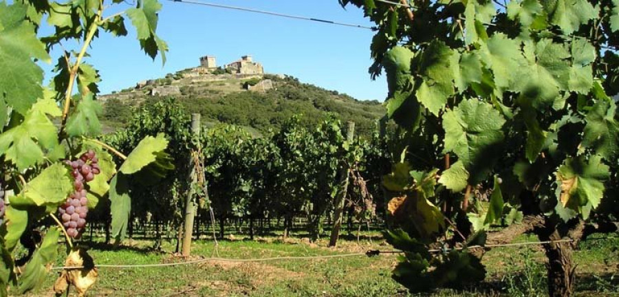 Las exportaciones de vino blanco gallego aumentan un 9% en el primer trimestre