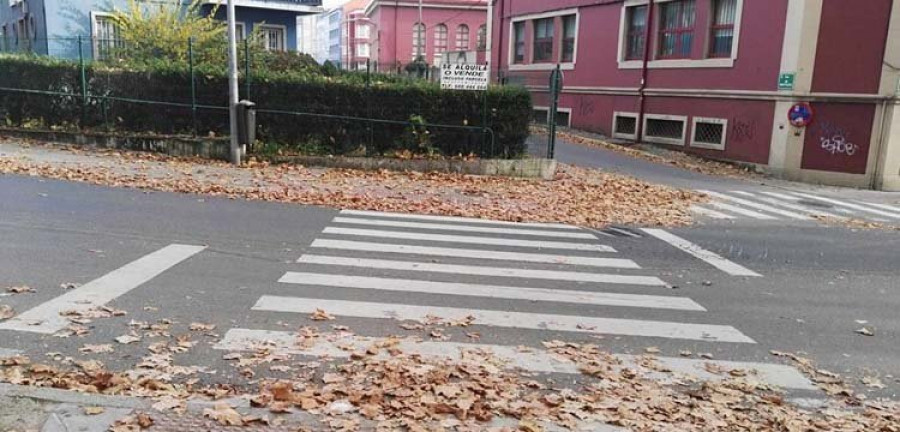 Ciudadanos denuncia la suciedad y la gran acumulación de hojas en las calles