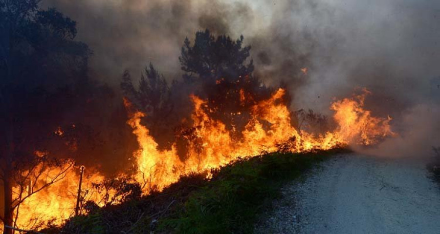 Cuatro nuevos incendios arrasan la comarca en pleno temporal de viento