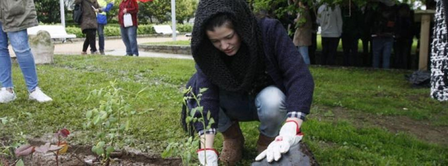 Alumnado del Tirso plantó rosas por las últimas víctimas de violencia de género