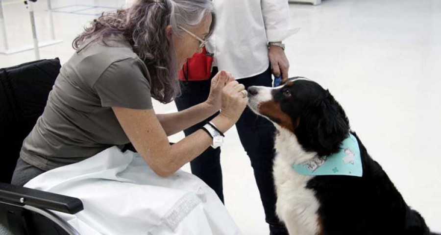 Los perros como terapia ante una larga estancia hospitalaria