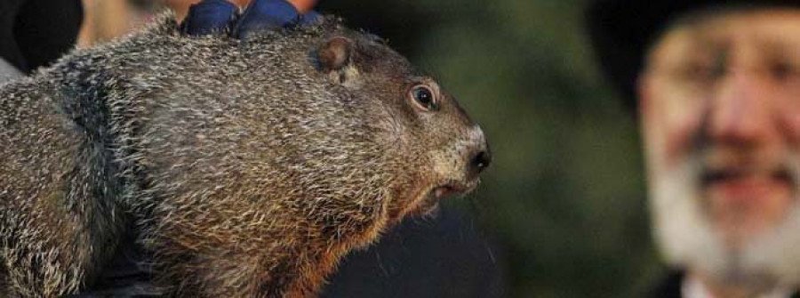 La marmota Phil predice que la primavera está llegando