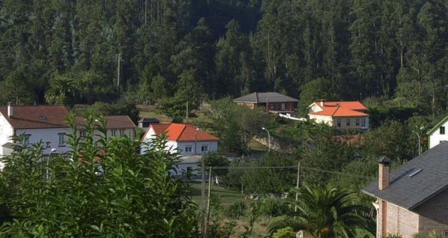 Forman a 70 vecinos en paro para rentabilizar los bosques de castaños