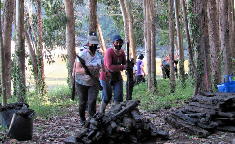 Mariscadoras a pie retiran 1.600 kilos de residuos en la zona de O Funil, en Pantín