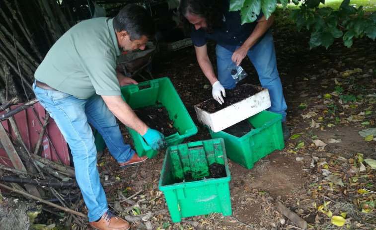 Moeche y Cedeira refuerzan su apuesta por el compostaje doméstico gracias a Sogama