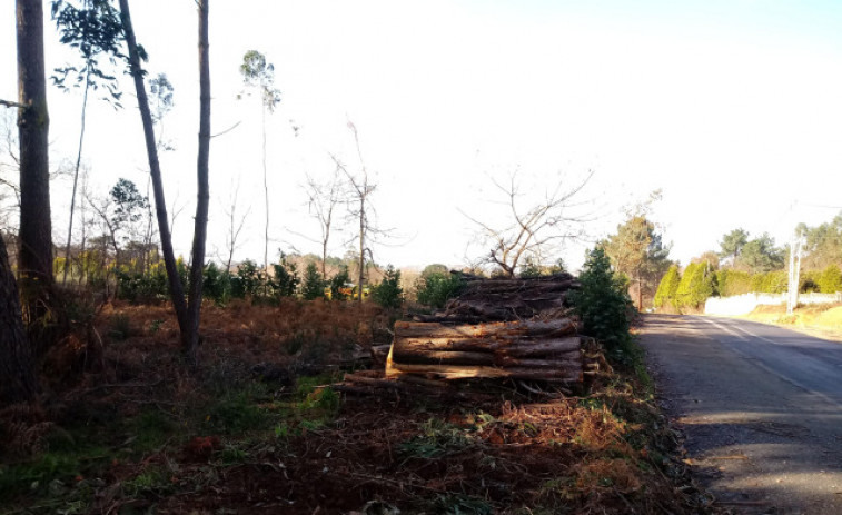 La Xunta controlará vía satélite las talas de madera realizadas en los montes gallegos