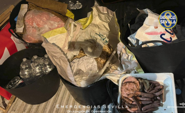 Intervenidos más de 50 kilos de carne en mal estado en la Cartuja que se inventaban vender en el concierto de Camilo