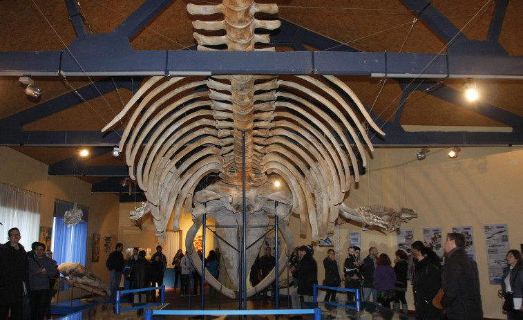 El Museo de Historia Natural organiza visitas guiadas gratuitas durante el período vacacional