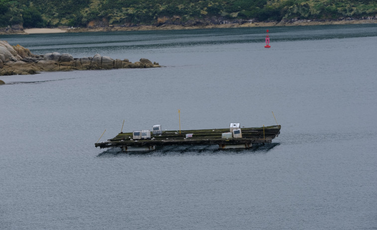 Mazazo al marisqueo tras la aparición de toxina en la batea del puerto exterior de Ferrol