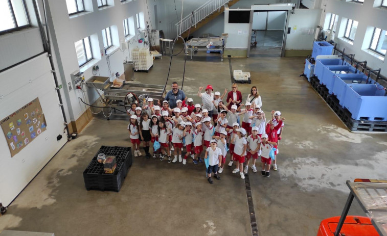 La Cofradía de Ferrol celebra el éxito de sus visitas escolares