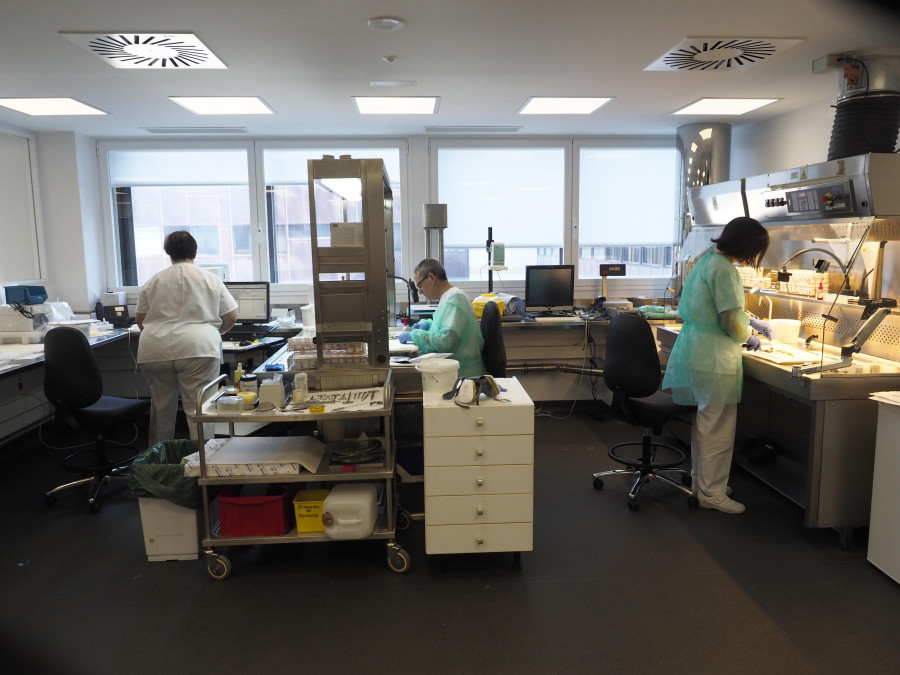 El Área Sanitaria de Ferrol avanza en investigación con la inteligencia artificial
