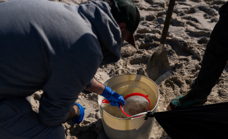 La Fiscalía abre diligencias por la marea de pellets de plástico en Galicia