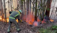 Dos incendios forestales en Fene y Cabanas arrasan con cerca de tres hectáreas de monte