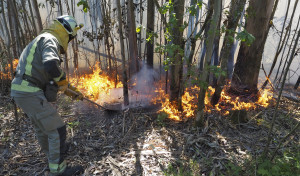 Incendios forestales en Magalofes y Fragas do Eume