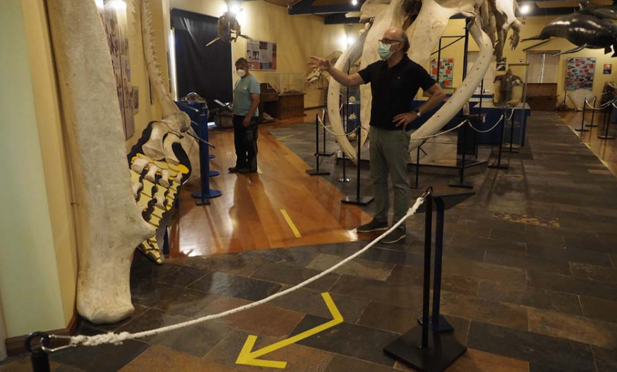 Día de apertura tras la cuarentena en el museo de la Sociedade Galega de Historia Natural