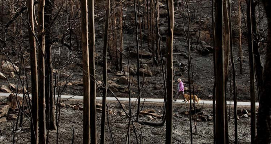 La comisión de incendios forestales se enquista por discrepancias sobre el plan de trabajo