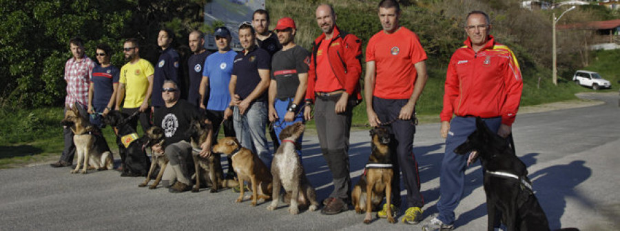 Los mejores perros de rescate exhibieron sus habilidades en Ferrol
