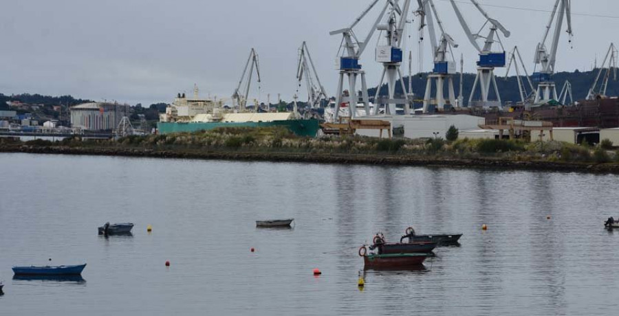 Ocho detenidos y 44 investigados por extraer y vender vieira de la ría local