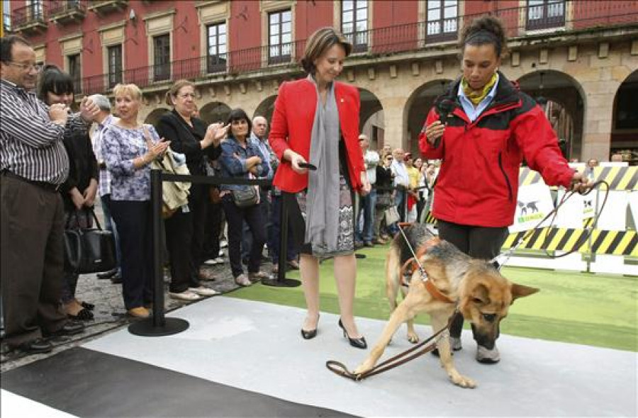 Comienzan a llegar a Oviedo los galardonados con los Premios Príncipe 2013