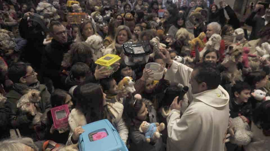 Las mascotas procesionan un año más en Ares para celebrar el día de su patrón, San Antón