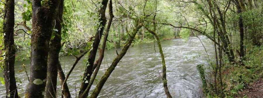 La Xunta limpiará más de 45 kilómetros en los márgenes de ríos de las comarcas