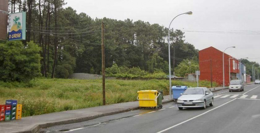 EU propone repoblar el pinar de la Estrada da Gándara para cumplir la Lei de Montes