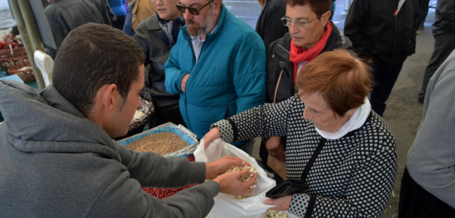 A recuperación da Festa da Faba de Moeche atrae a centos de persoas