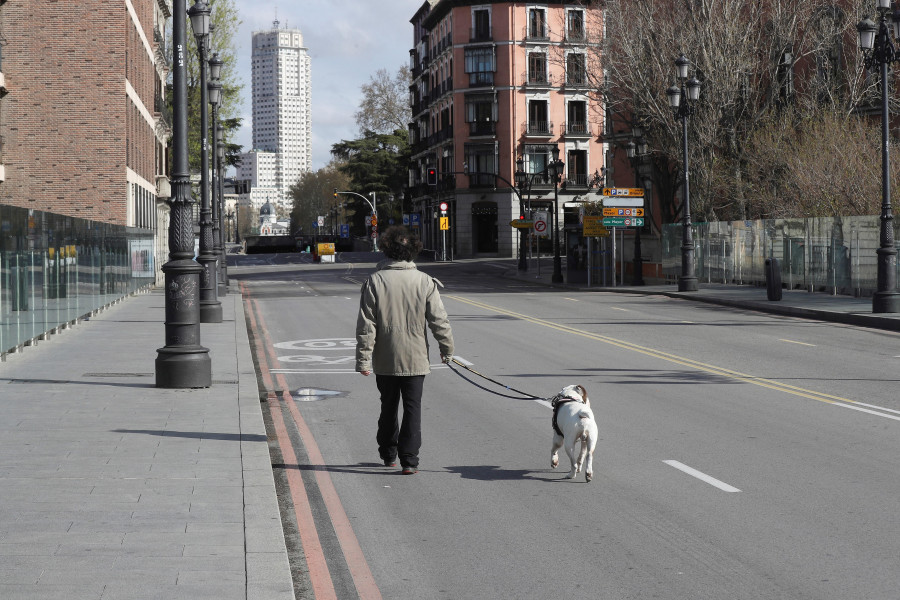 Denunciado un hombre que alquilaba en A Coruña perros para sacarlos a pasear durante el estado de alarma