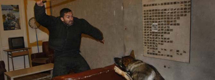 La patrulla canina muestra sus dotes