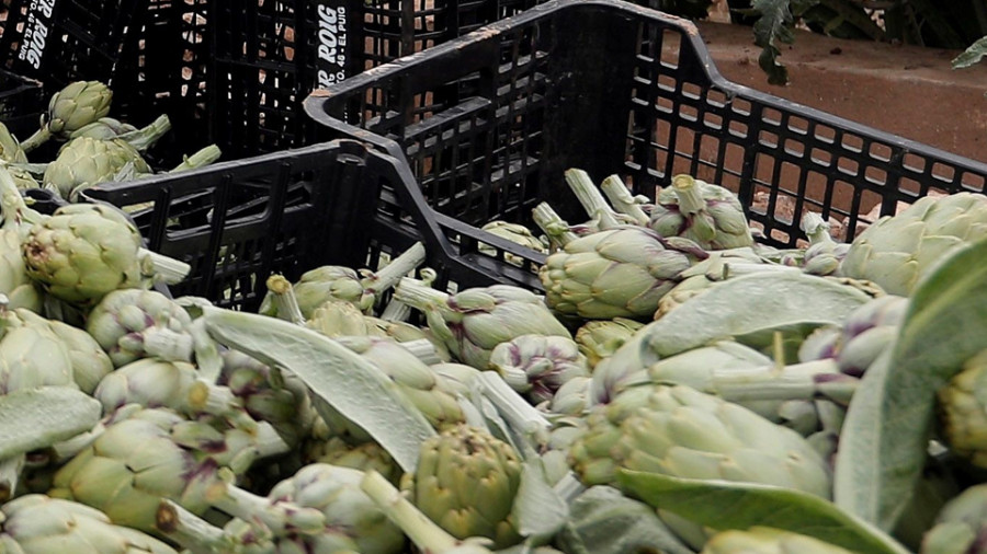 Los agricultores españoles reciben 4.347 millones en ayudas europeas que corresponden a 2019