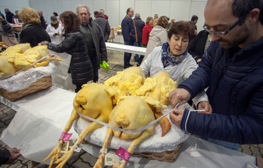 Vendidos en menos de dos horas los 200 capones que entraron en la feria de Vilalba