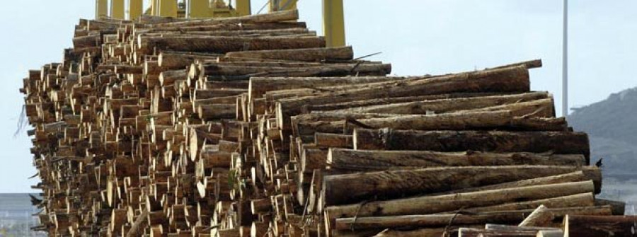 Ence suspende el envío de madera desde la terminal de Caneliñas