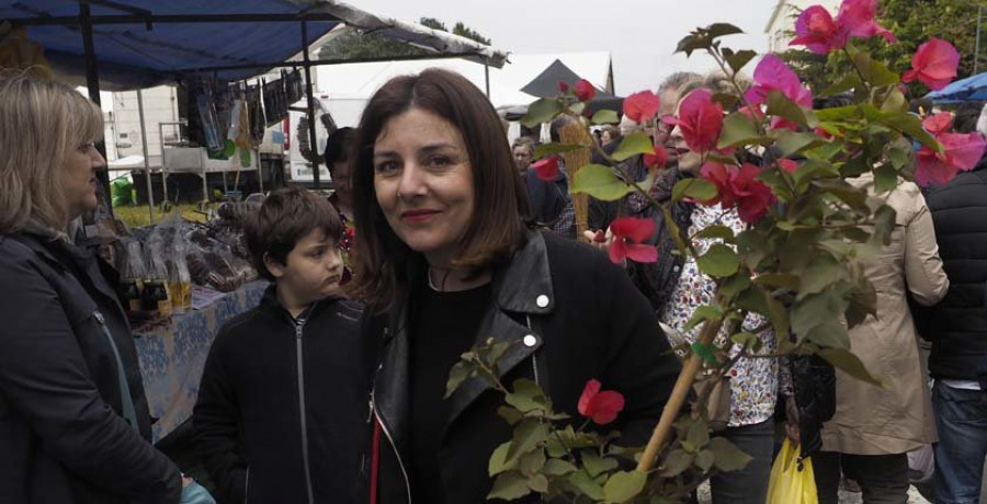 Flores, plantas e os mellores froitos na Feira da Plantación