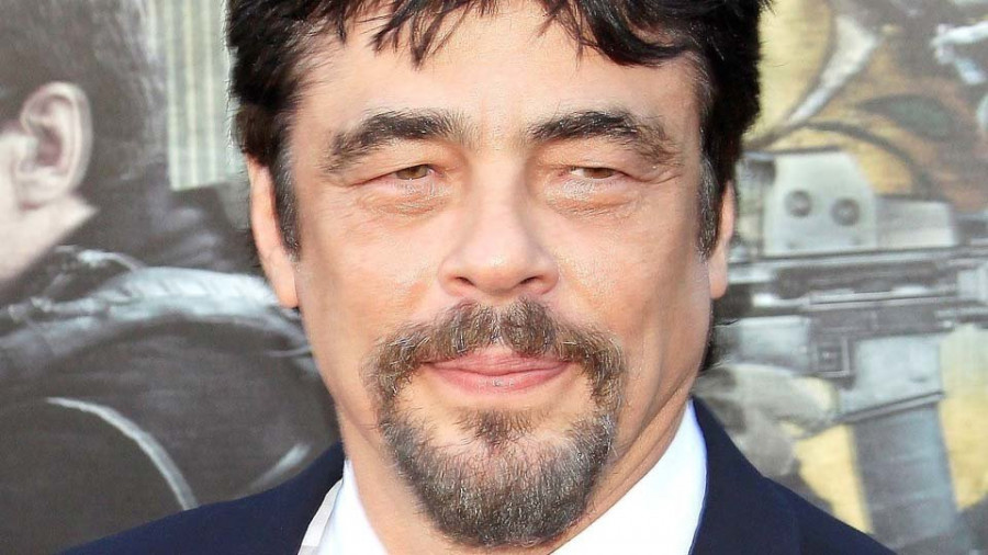 Benicio del Toro y Patricia Arquette aúnan fuerzas en su nuevo proyecto