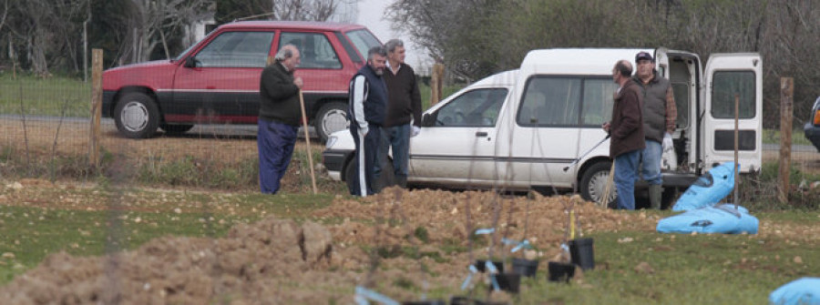 SAN SADURNIÑO.- El Concello anulará el convenio con la cooperativa y pagará la indemnización