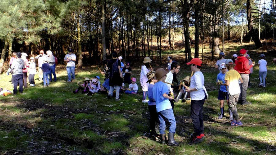 Los montes de Chá se llenan de especies autóctonas plantadas por alumnos de A Laxe