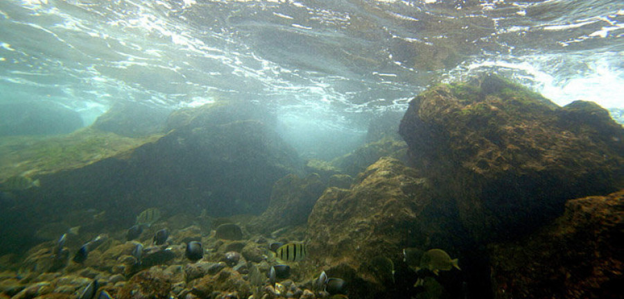 Los geólogos ratifican la existencia de un continente sumergido en el oceáno Pacífico