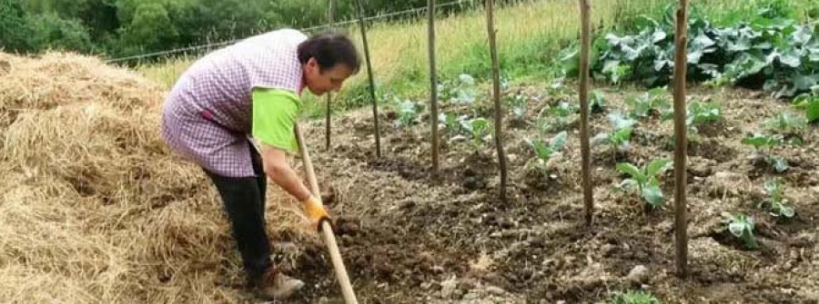 SAN SADURNIÑO-Videotutoriales en Youtube para explicar labores agrícolas